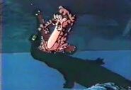 Le Crocodile avale Raja le Tigre