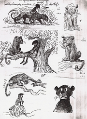 Bagheera CA