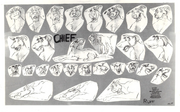 Chef animation