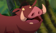 Pumbaa RL3
