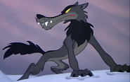 Loup