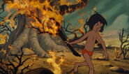 Mowgli prend une branche en feu