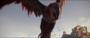 Iago 2019