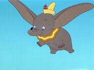 Dumbo flies