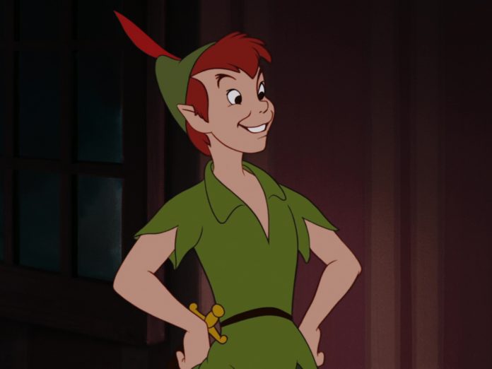 Déguisement Enfant Perdu Peter Pan garçon