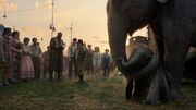 MadameJumboetDumbo