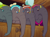 Éléphantes (Dumbo)