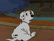 Rolly.jpg (200 kio) Rolly