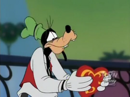 Saint valentin dingo