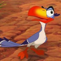 Zazu Disney Wiki Fandom