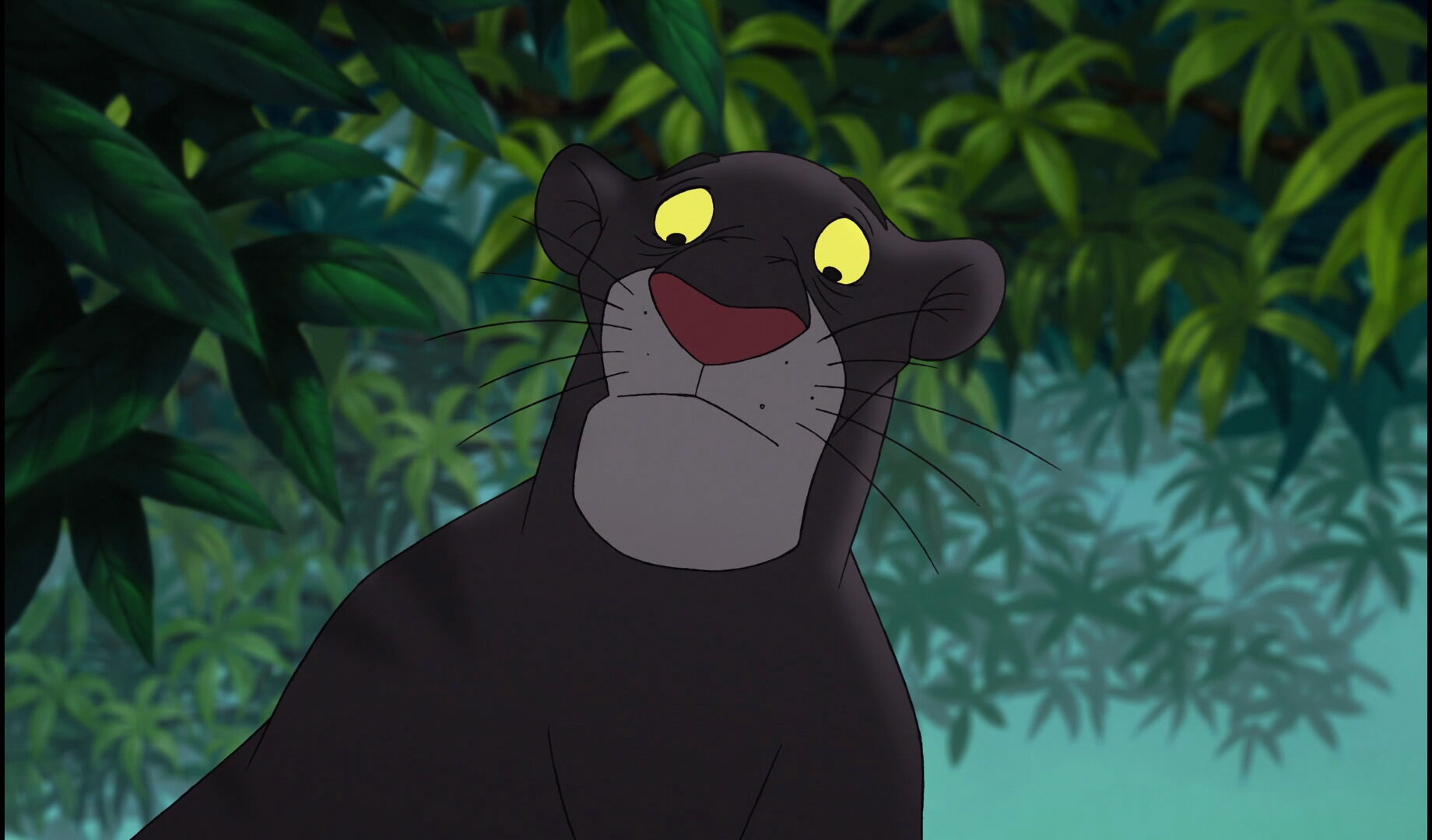 Bagheera Disney Wiki Fandom