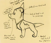 Développement visuel de  sur l'anatomie de Volt.