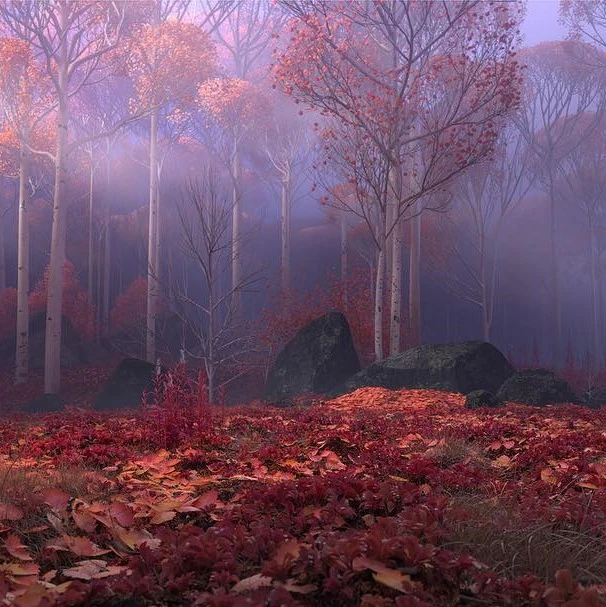 Foret Enchantee Disney Wiki Fandom