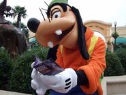 Dingo au Parc Walt Disney Studios