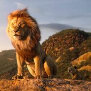 Mufasa (Le Roi Lion, 2019)