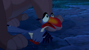 Zazu LRL3