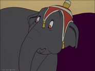 Elephant Giddy