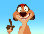 Timon