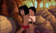 Mowgli shanti et ranjan face à shere khan
