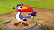 Zazu GDRL
