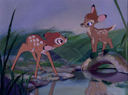 Bambi (2)