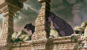 Bagheera (6)