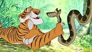 Shere Khan Kaa