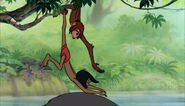 Mowgli enlevé par un singes