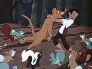 JPDP MC (2).png (194 kio)