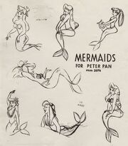 Mermaidsconcept