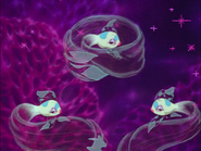 Poissons