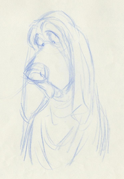 Rouky animation