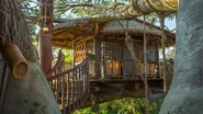 Swiss-family-treehouse-magic kingdom.png (2,94 Mio) L'intérieur de l'attraction vu sur le site de Walt Disney World Resort.