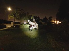 Unnatural Habitat Leovincible Wiki Fandom