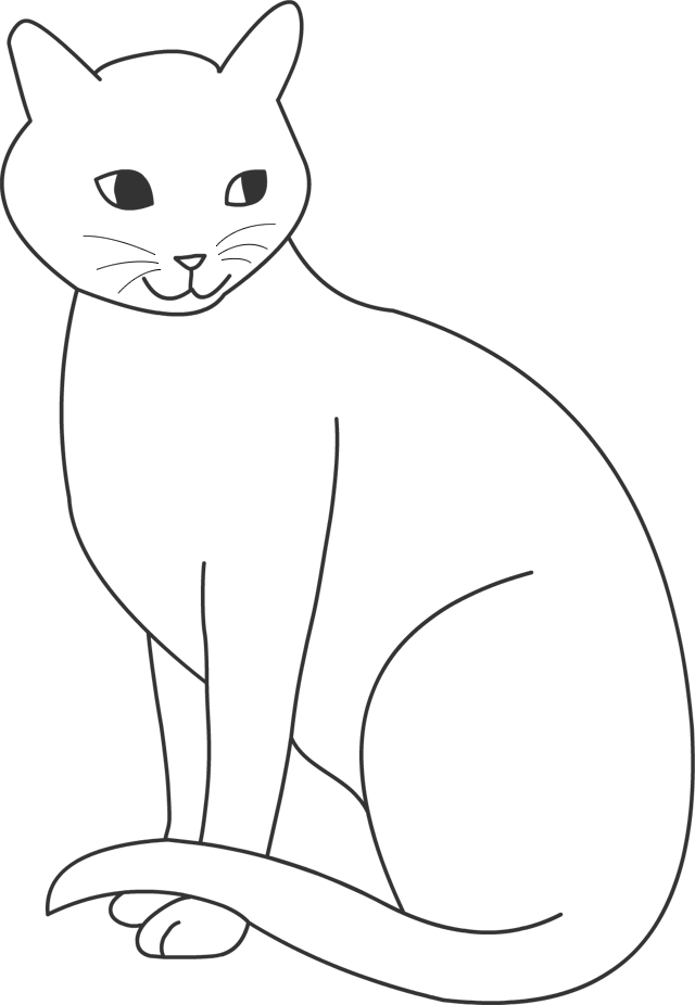 Blog Utilisateur Plume Tigree Commande De Dessin Wikia Les Chats Sauvages Fandom