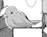 Michaela in her robin form in the manga