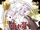 TwinRabbitsCover.webp