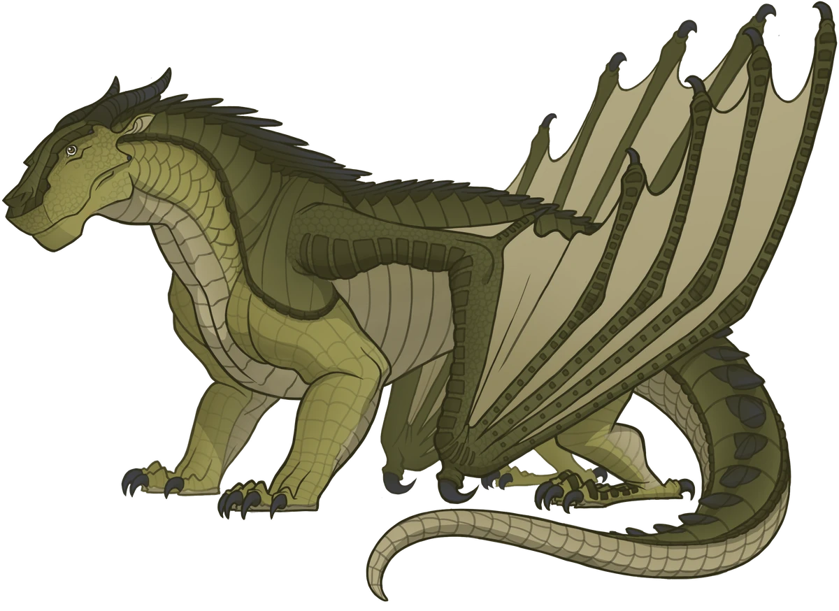 Salamandre | Wiki Les Royaumes de Feu | Fandom, image size:1200x874