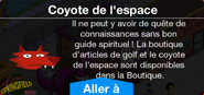 BoutiqueCoyotedel'espace