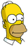 Homer Icon.png