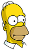 Homer Icon