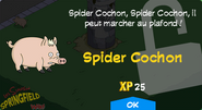 Fenêtre de déblocage de Spider Cochon