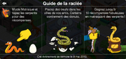 Guide de la Raclée