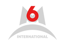 LOGO-M6-INTERNATIONAL-GRIS-02