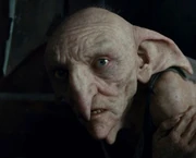les-elfes-de-maisons-dans-harry-potter-wiki-les-elfes-fandom
