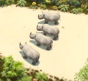 Rhinos