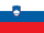 Flag of Slovenia.svg