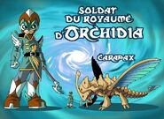 Tome 13 - Soldat et carapax (Charadesign)