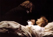 Cometome (2).jpg (18 KB)