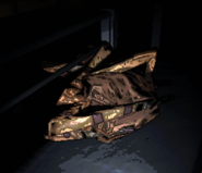 A dead bunker spider.